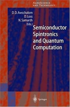 Semiconductor Spintronics and Quantum Computation pdf epub mobi 电子书 下载