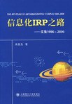 信息化IRP之路文集1996～2006 pdf epub mobi 电子书 下载