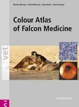 Falcon Medicine pdf epub mobi 电子书 下载