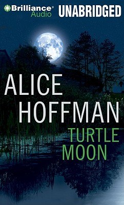 Turtle Moon