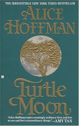 Turtle Moon pdf epub mobi 电子书 下载