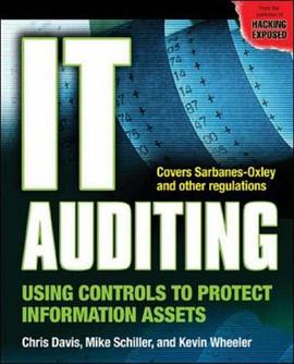 IT Auditing: Using Controls to Protect Information Assets pdf epub mobi 电子书 下载
