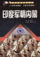 印度军情内幕 pdf epub mobi 电子书 下载