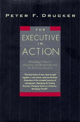The Executive in Action pdf epub mobi 电子书 下载