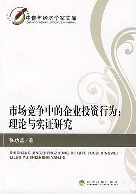 市场竞争中的企业投资行为 pdf epub mobi 电子书 下载