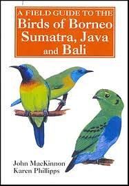 A Field Guide to the Birds of Borneo, Sumatra, Java, and Bali: The Greater Sunda Islands pdf epub mobi 电子书 下载