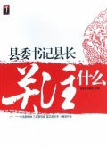 县委书记县长关注什么 pdf epub mobi 下载