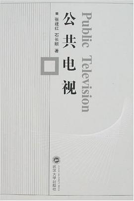 公共电视 pdf epub mobi 电子书 下载