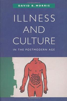 Illness and Culture in the Postmodern Age pdf epub mobi 电子书 下载