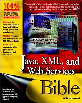 Java XML and Web Services Bible pdf epub mobi 电子书 下载
