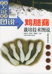 鸡腿菇栽培技术图说 pdf epub mobi 电子书 下载