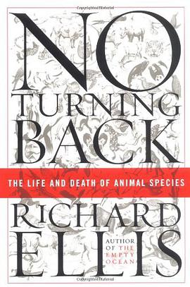 No Turning Back