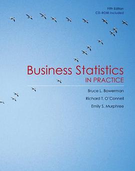 Business Statistics in Practice pdf epub mobi 电子书 下载