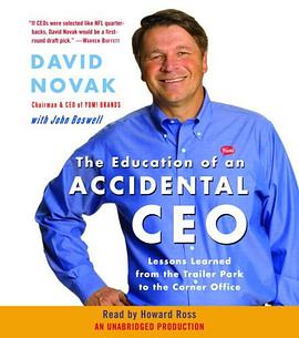 The Education of an Accidental CEO pdf epub mobi 电子书 下载