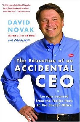 The Education of an Accidental CEO pdf epub mobi 电子书 下载