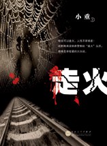 走火 pdf epub mobi 电子书 下载