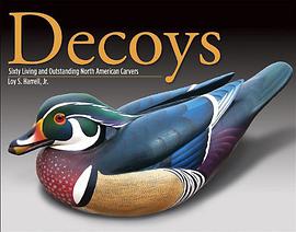 Decoys pdf epub mobi 电子书 下载