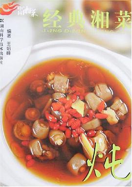 炖-经典湘菜 pdf epub mobi 下载
