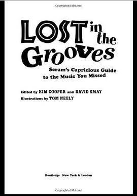 Lost in the Grooves pdf epub mobi 电子书 下载