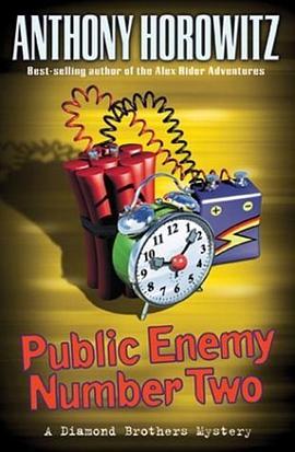 Public Enemy Number Two (Diamond Brothers Mysteries) pdf epub mobi 电子书 下载