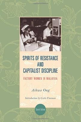 Spirits of Resistance and Capitalist Discipline pdf epub mobi 电子书 下载