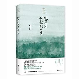 孤单又灿烂的人生 pdf epub mobi 电子书 下载