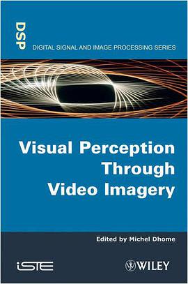 Visual Perception Through Video Imagery pdf epub mobi 电子书 下载