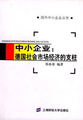 中小企业 pdf epub mobi 电子书 下载