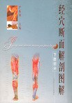 经穴断面解剖图解.下肢部分 pdf epub mobi 电子书 下载