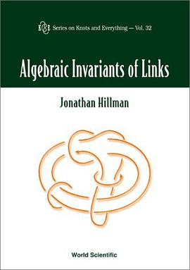 ALGEBRAIC INVARIANTS OF LINKS pdf epub mobi 电子书 下载