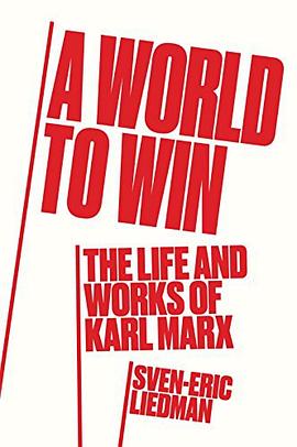 A World to Win pdf epub mobi 电子书 下载