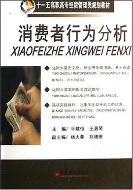 消费者行为分析 pdf epub mobi 电子书 下载