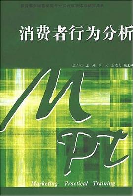 消费者行为分析 pdf epub mobi 电子书 下载