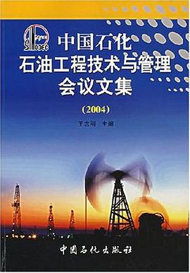中国石化石油工程技术与管理会议文集 pdf epub mobi 电子书 下载