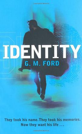 Identity pdf epub mobi 电子书 下载