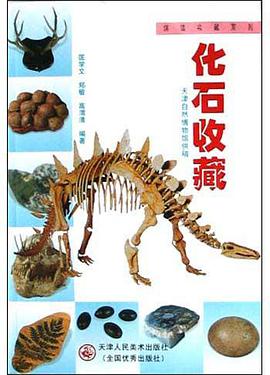 化石收藏 pdf epub mobi 电子书 下载