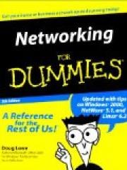 Networking for Dummies