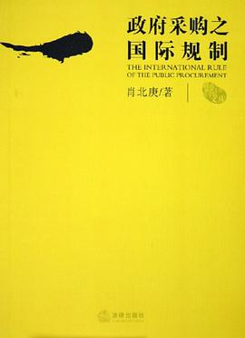政府采购之国际规制 pdf epub mobi 电子书 下载