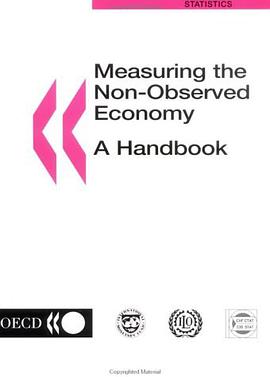 Measuring the Non-Observed Economy pdf epub mobi 电子书 下载