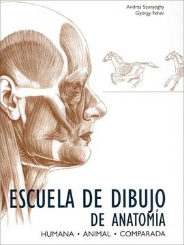 Escuela de Dibujo de Anatomia (Spanish Edition) pdf epub mobi 下载