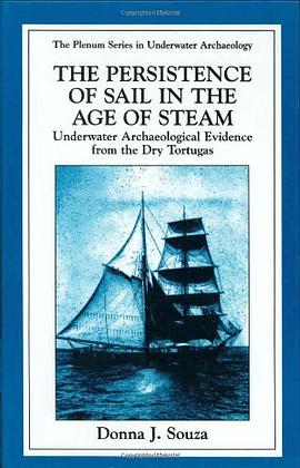 The Persistence of Sail in the Age of Steam