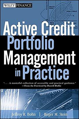 Active Credit Portfolio Management in Practice pdf epub mobi 電子書 下載