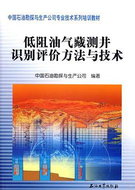 低阻油气藏测井识别评价方法与技术 pdf epub mobi 电子书 下载