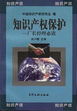 知识产权保护 pdf epub mobi 电子书 下载