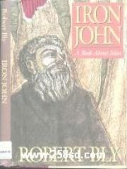 Iron John: A Book About Men pdf epub mobi 电子书 下载