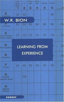Learning from Experience pdf epub mobi 电子书 下载