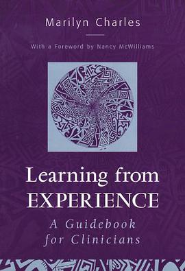 Learning from Experience pdf epub mobi 电子书 下载