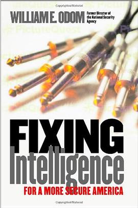 Fixing Intelligence pdf epub mobi 下载