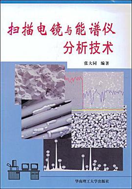 扫描电镜与能谱仪分析技术 pdf epub mobi 电子书 下载