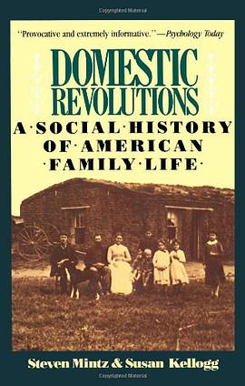 Domestic Revolutions pdf epub mobi 电子书 下载